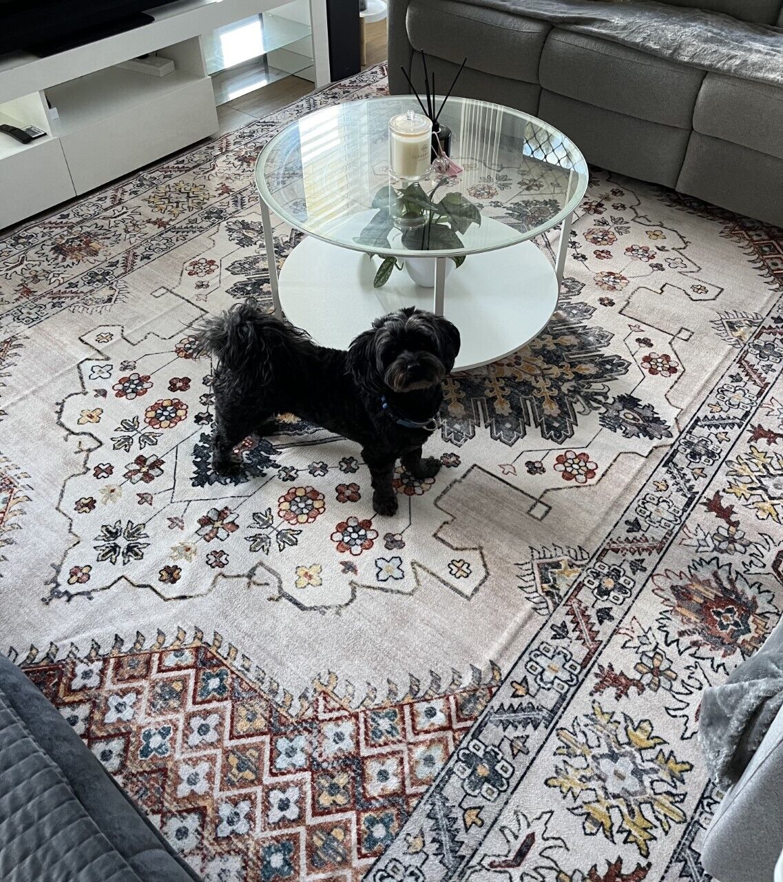 Machine Washable Rugs - The Calming Co. Australia